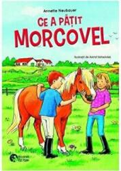 Ce a patit Morcovel? Proba de curaj - Annette Neubauer (ISBN: 9786065907003)