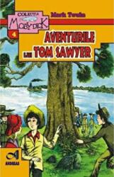 Aventurile lui Tom Sawyer - Mark Twain (ISBN: 9786068271330)
