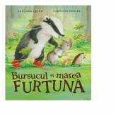 Bursucul si marea furtuna - Caroline Pedler, Suzanne Chiew (ISBN: 9786067048544)