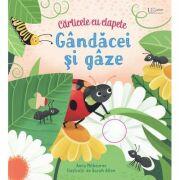 Gandacei si gaze. Clapete (Usborne) - Usborne Books (ISBN: 9786067047387)