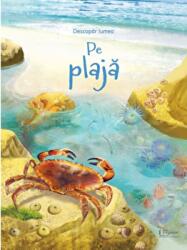 Pe plaja - Usborne Books (ISBN: 9786067047127)