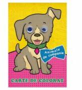 Animale de companie. Carte de colorat (ISBN: 9789975148405)