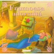Povesti clasice - Frumoasa adormita (ISBN: 9786065254855)