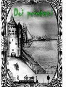 Doi prieteni - Gabriel Poenaru (ISBN: 9786066661898)