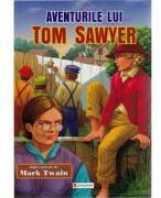 Aventurile lui Tom Sawyer - Mark Twain (ISBN: 9786065767096)