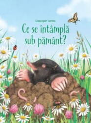 Ce se intampla sub pamant (Usborne) - Emily Bone (ISBN: 9786067045727)