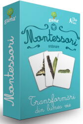 Transformari Din Lumea Vie, - Editura Gama (ISBN: 9789731496436)