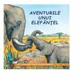 Aventurile unui elefantel - Sa cunoastem lumea inconjuratoare! (ISBN: 9789975138468)