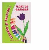 Coloram si invatam! Flori de gradina - Adina Grigore (ISBN: 9786063607189)