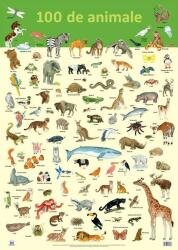 Planșă - 100 de animale (ISBN: 9786066837149)