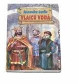 Vlaicu Voda (ISBN: 9789731180571)