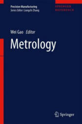Metrology - Wei Gao (ISBN: 9789811049378)