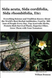 Sida acuta, Sida cordifolia, Sida rhombifolia, Etc. : Everything Science and Tradition Knows about the World's Best Herbal Antibiotics, Used by Million - William L Bruneau (ISBN: 9780974879932)