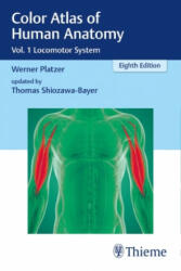 Color Atlas of Human Anatomy - Thomas Shiozawa-Bayer (ISBN: 9783132424432)