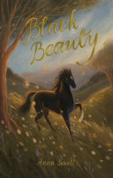Black Beauty - A SEWELL (ISBN: 9781840228175)