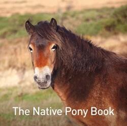 The Native Pony Book (ISBN: 9781913134822)