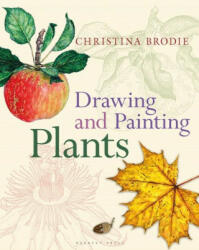 Drawing and Painting Plants - Christina Brodie (ISBN: 9781789940657)