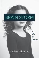 Brain Storm: A Life in Pieces (ISBN: 9780578736471)
