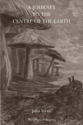 A Journey to the Center of the Earth - Jules Verne (ISBN: 9781770831926)