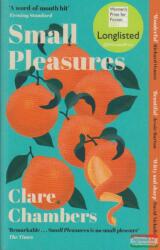 Small Pleasures - Clare Chambers (ISBN: 9781474613903)