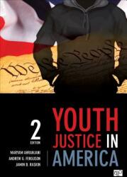 Youth Justice in America (ISBN: 9781483319162)