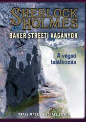 A végső találkozás - Sherlock Holmes és a Baker Streeti Vagányok 4 (2012)