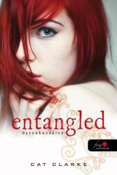 Entangled - Összekuszálva (2012)