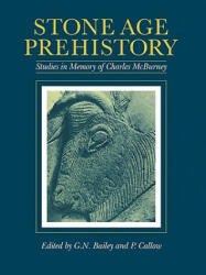 Stone Age Prehistory - G. N. Bailey (ISBN: 9780521105422)