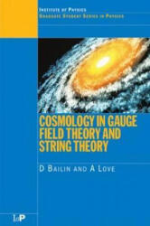 Cosmology in Gauge Field Theory and String Theory - Alexander Love (ISBN: 9780750304924)
