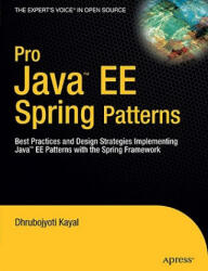 Pro Java EE Spring Patterns - Dhrubojyoti Kayal (2008)