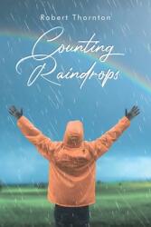 Counting Raindrops (ISBN: 9781098049270)