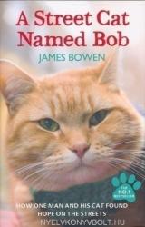 Street Cat Named Bob - James Bowen (2012)