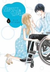 Perfect World 4 (ISBN: 9781646510580)