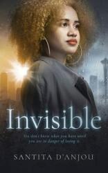 Invisible (ISBN: 9780578760414)