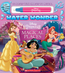 Disney Princess (ISBN: 9781338729085)