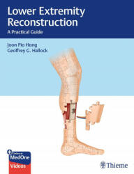 Lower Extremity Reconstruction - Geoffrey Hallock (ISBN: 9781626238084)