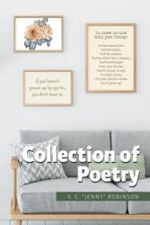 Collection of Poetry (ISBN: 9781645848950)