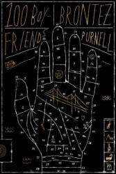 100 Boyfriends (ISBN: 9780374538989)