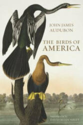 Birds of America (ISBN: 9780565093396)