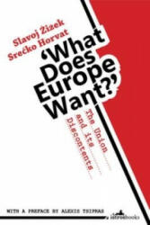 What Does Europe Want? - Slavoj Zizek & Srecko Horvat (ISBN: 9781908236166)
