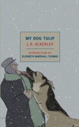 My Dog Tulip (ISBN: 9781590174142)