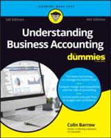 Understanding Business Accounting For Dummies - UK (ISBN: 9781119413530)