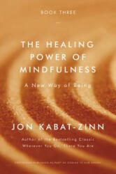 The Healing Power of Mindfulness: A New Way of Being - Jon Kabat-Zinn (ISBN: 9780316411769)