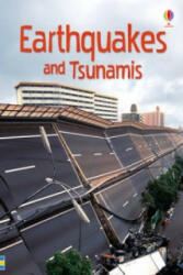 Earthquakes & Tsunamis (ISBN: 9781409530688)