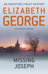 Missing Joseph (ISBN: 9781444738315)