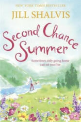 Second Chance Summer - A romantic feel-good read perfect for summer (ISBN: 9781472222992)