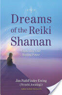 Dreams of the Reiki Shaman: Expanding Your Healing Power (ISBN: 9781844095681)