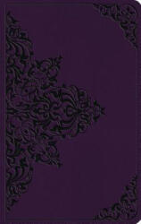 ESV Large Print Value Thinline Bible (ISBN: 9781433566844)