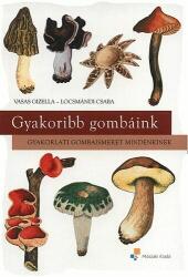 Locsmándi Csaba, Vasas Gizella - Gyakoribb gombáink - Gyakorlati gombaismeret mindenkinek (ISBN: 9789631643862)
