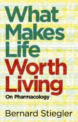What Makes Life Worth Living (ISBN: 9780745662718)